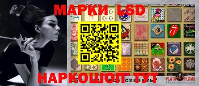PSILOCYBIN Можайск