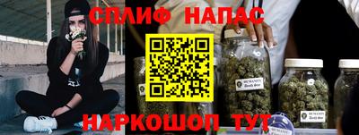 шишки Моздок